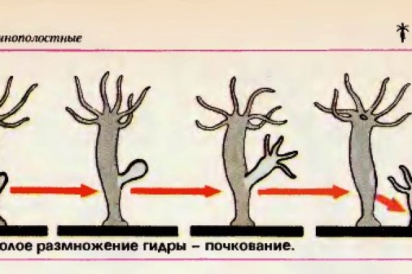 Угнали аккаунт кракен